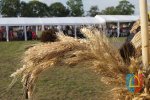 Dożynki gminno-parafialne w Czarnożyłach 2018 r.