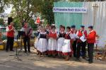 Dożynki parafialne w Wydrzynie_55