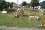 Dożynki Powiatowe 2014_6