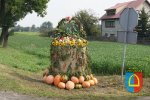 Dożynki Powiatowe 2014_96