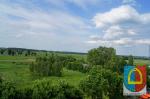 Festyn rodzinny 2013_52