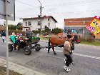 Orszak Trzech Króli w Czarnożyłach 2023 r.