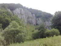 b_200_150_16777215_00_jscripts_tiny_mce_plugins_imagemanager_files_wycieczka_10072012491.jpg