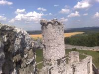 b_200_150_16777215_00_jscripts_tiny_mce_plugins_imagemanager_files_wycieczka_10072012509.jpg